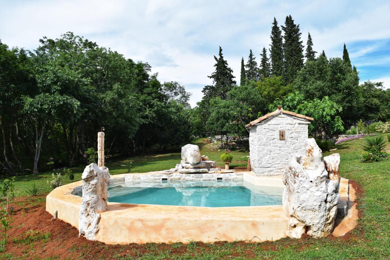 Cottage Al Merlo Olivo 布耶 外观 照片