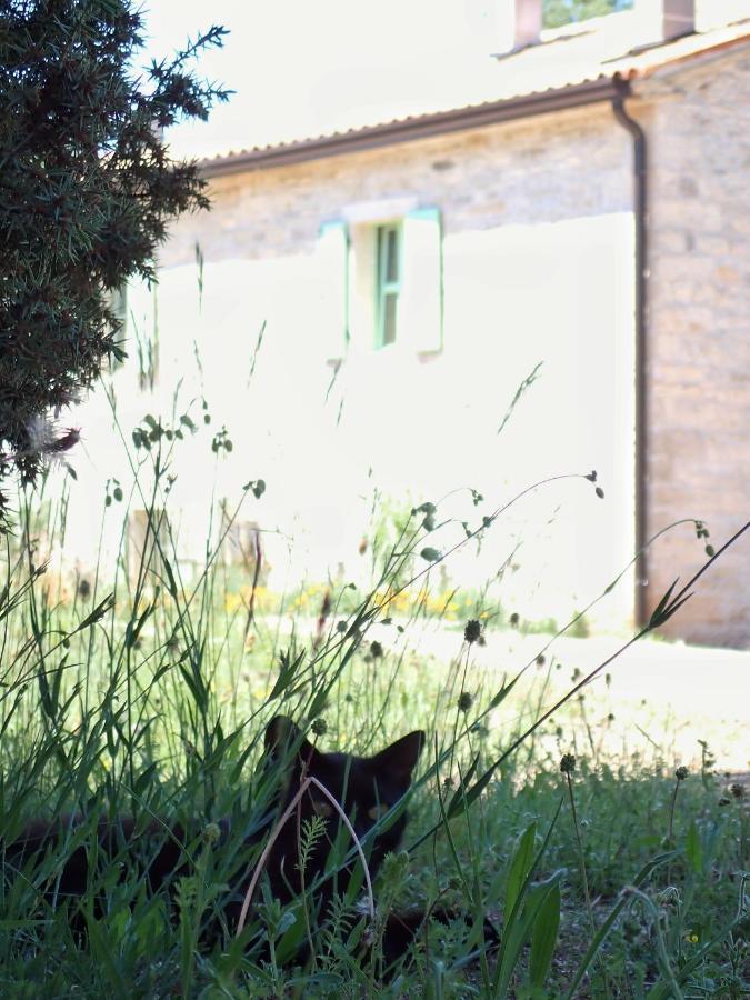Cottage Al Merlo Olivo 布耶 外观 照片
